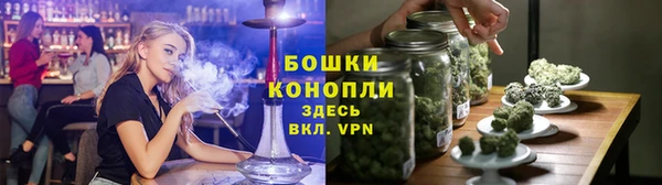 мяу мяу мука Новодвинск