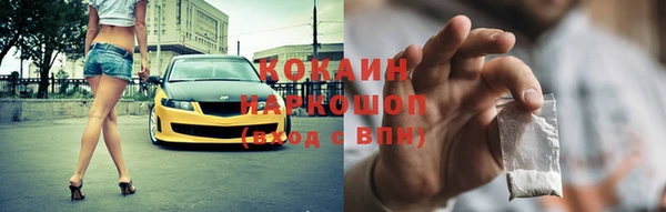 ешки Новозыбков