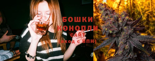 ешки Новозыбков