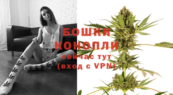 ешки Новозыбков