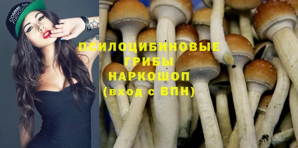 ешки Новозыбков