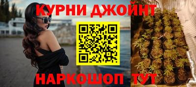 индика Изобильный