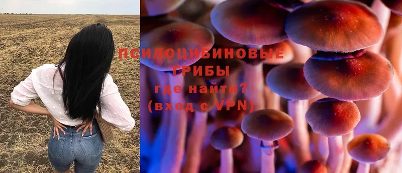 что такое   Тюмень  Галлюциногенные грибы Magic Shrooms 