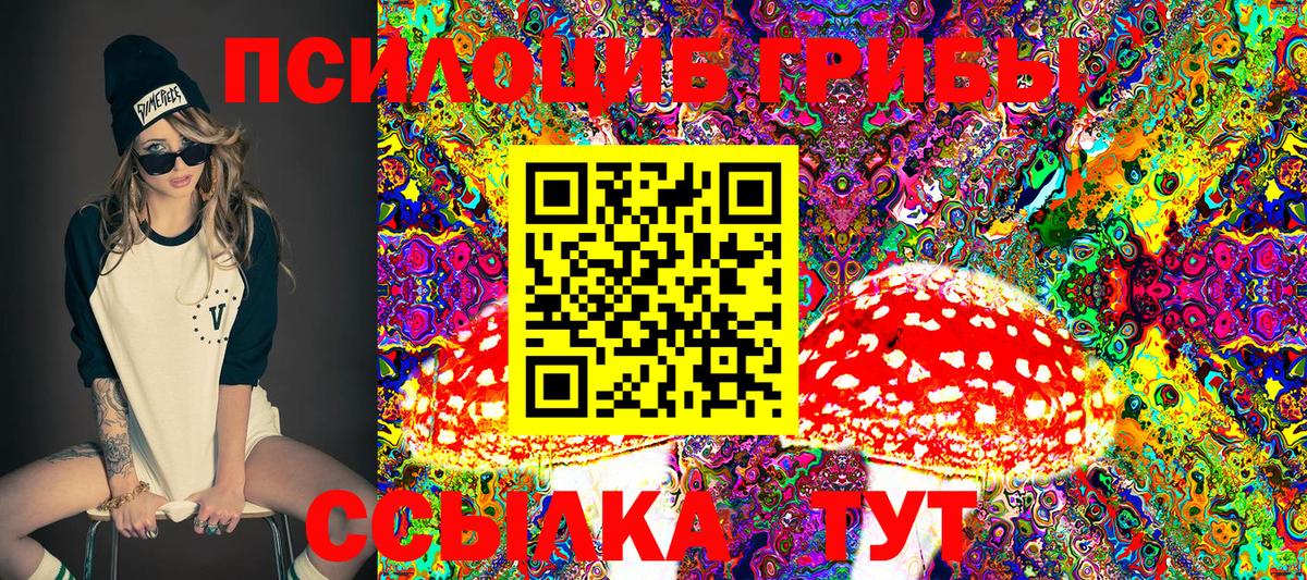 Галлюциногенные грибы Magic Shrooms  как найти закладки  Вход с VPN  Тюмень  Галлюциногенные грибы Psilocybine cubensis 